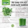 Bột Chùm ngây BAMBOO nguyên chất, siêu mịn hộp 60g/ 20 gói