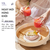 Máy Xay Nấu Đa Năng Mini DINGO DCB500 – Thiết Kế Thời Thượng – Nhỏ Gọn – Thông Minh