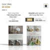 Máy Làm Sữa Hạt OLIVO X24 PRO