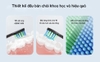 Bàn chải điện đánh răng Mi-Lux Oral B2