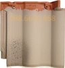 Ngói sóng Eishiro Proud BB40 màu Trắng Ngà Light Ocher BB9 tráng men nhập khẩu Nhật Bản