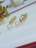 Hoa Tai Ngọc Trai Thanh Lịch & Duyên Dáng
