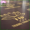 van-ep-phu-phim