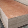 bintangor-commercial-plywood-mlh-thick-17-5mm