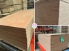 okoume-commercial-plywood-14-5mm-thickness