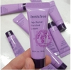 Kem Dưỡng Da Innisfree Jeju Orchid Enriched Cream 10ml