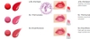 Son dưỡng có màu Laneige Stained Glasstick Lipstick