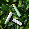 Son dưỡng chiết xuất từ Lá Trà Xanh Innisfree Green Tea Lip Balm