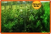 Đầu out thủy tinh trong suốt Phi 12mm - Miệng phễu loe - Hộp chống sốc - gắn máy lọc nước hồ cá thủy sinh