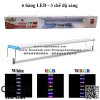 Đèn LED hồ cá thủy sinh WRGB Hiraki HKP 600 - 6 hàng bóng - dài 50 cm - Đổi 3 chế dộ màu