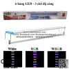Đèn LED hồ cá thủy sinh WRGB Hiraki HKP 600 - 6 hàng bóng - dài 50 cm - Đổi 3 chế dộ màu