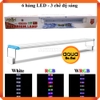 Đèn LED hồ cá thủy sinh WRGB Hiraki HKP 700 - 6 hàng bóng - dài 60 cm - Đổi 3 chế độ màu