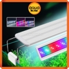 Đèn LED thủy sinh WRGB ROXIN GX-A 40 cm (3 chế độ màu)
