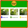 Bộ test nồng độ CO2 chai dung dịch 15 ml và cóng thủy tinh hình cầu -  Kiểm tra nồng độ CO2 trong nước cho hồ thủy sinh cá cảnh
