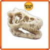 Tượng đầu xương khủng long bạo chúa trang trí hồ cá, thủy sinh, bán cạn, tiểu cảnh - Mẫu A2 8*5*5 cm