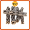 Lũa xương rồng Nam Mĩ Cholla Cactus