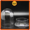 Bình terrarium thủy tinh hình chuông - 12*17 cm - Lồng kính trồng cây, thủy sinh, bán cạn, tiểu cảnh, sen đá, decor nội thất