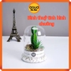 Bình terrarium thủy tinh hình chuông - 12*17 cm - Lồng kính trồng cây, thủy sinh, bán cạn, tiểu cảnh, sen đá, decor nội thất