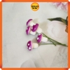 Mô hình Nấm mini nhiều màu sắc - Phụ kiện trang trí thủy sinh, bán cạn terrarium, tiểu cảnh, sen đá, decor nội thất