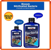 Biozym Vi sinh ĐẬM ĐẶC cho cá biển và nước ngọt - Biozym Nitrification Bacteria (High concentrate formula) for Fresh & Marine Fish