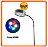 Đèn LED rời (dùng gắn đế gỗ kê hồ thủy sinh, tiểu cảnh) màu đen - sáng WRGB