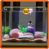 Mô hình Songoku TRÔI LƠ LỬNG trang trí bể cá cảnh thủy sinh