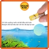 Biozym Vi sinh sống 303 khởi tạo hệ vi sinh cho bể thủy sinh - Nhanh ổn định nước