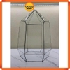 Bể kính đa giác terrarium, bình thủy tinh tiểu cảnh bán cạn - Viền silicon - Mẫu D-12 size L (26*26*36 cm)
