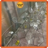 Bể kính đa giác terrarium, bình thủy tinh tiểu cảnh bán cạn - Viền silicon - Mẫu D-12 size M (21*21*29 cm)