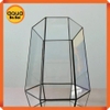 Bể kính đa giác terrarium, bình thủy tinh tiểu cảnh bán cạn - Viền silicon - Mẫu D-13 size L (26*26*36 cm)