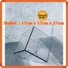 Bể kính đa giác terrarium, bình thủy tinh tiểu cảnh bán cạn - Viền silicon - Mẫu D-22 size L (20*20*20 cm)
