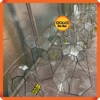 Bể kính đa giác terrarium, bình thủy tinh tiểu cảnh bán cạn - Viền silicon - Mẫu D-22 size L (20*20*20 cm)