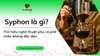 Syphon là gì? Tìm hiểu nghệ thuật pha cà phê chân không độc đáo