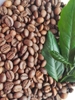 Cà Phê Hạt Pha Máy Blend 8-2  ( 80% Arabica+ 20% Robusta ĐB )