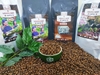 Cà Phê Hạt Pha Máy Robusta Spencialty