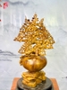 binh-mai-bon-sai