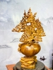 binh-mai-bon-sai