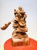 tuong-quan-cong-go-huong