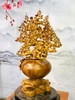 binh-mai-bon-sai