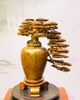 binh-tung-bach-xanh