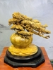 binh-tung-go-nu-ngoc-nghien
