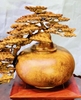 binh-tung-phu-quy