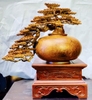binh-tung-phu-quy
