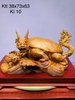long-quy-mau-moi