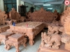 rong-dinh-huong-da-12-mon-hang-sieu-khung-285