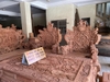 rong-dinh-huong-da-vip-v207