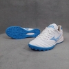 Mizuno Neo 4 F1
