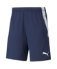 Quần Thể Thao Chính Hãng Màu Xanh Puma TEAMLIGA 657795-06