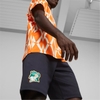 Bộ Thể Thao Puma Màu Cam - Ivory Coast FtblCulture Tee Men - 772457 07/772461 06