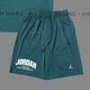 Quần Thể Thao Chính Hãng Nike Jordan Sport Dri-FIT Shorts -FZ9986-366